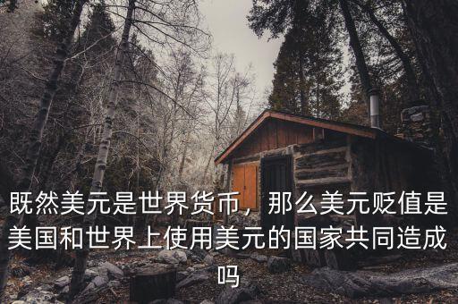 既然美元是世界貨幣，那么美元貶值是美國和世界上使用美元的國家共同造成嗎