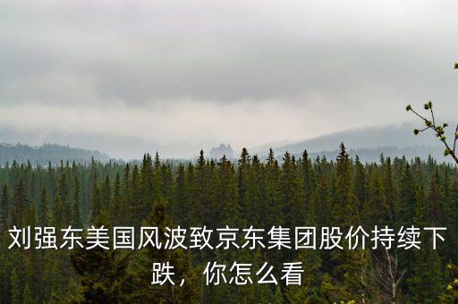劉強東美國風(fēng)波致京東集團(tuán)股價持續(xù)下跌，你怎么看