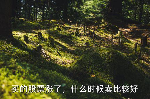 買的股票漲了，什么時候賣比較好