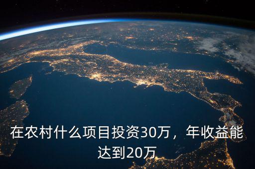 在農村什么項目投資30萬，年收益能達到20萬