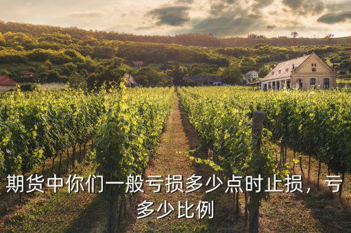 期貨中你們一般虧損多少點時止損，虧多少比例