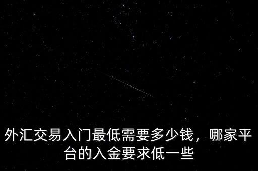 外匯交易入門(mén)最低需要多少錢(qián)，哪家平臺(tái)的入金要求低一些