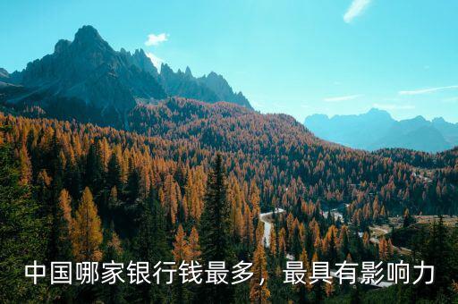 中國(guó)哪家銀行錢(qián)最多，最具有影響力