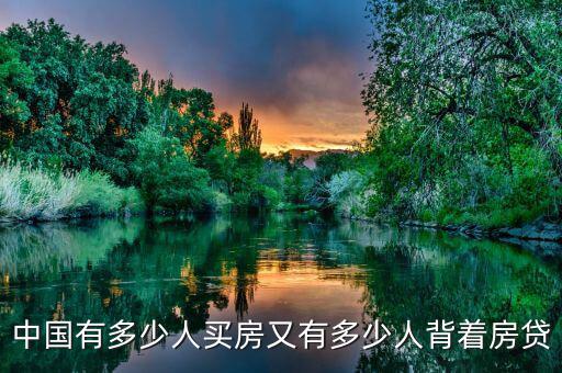 中國(guó)有房貸的人多少,中國(guó)有多少人買(mǎi)房