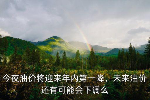 今夜油價將迎來年內第一降，未來油價還有可能會下調么