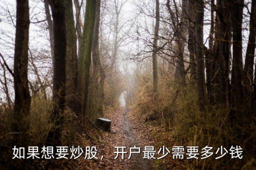 如果想要炒股，開戶最少需要多少錢