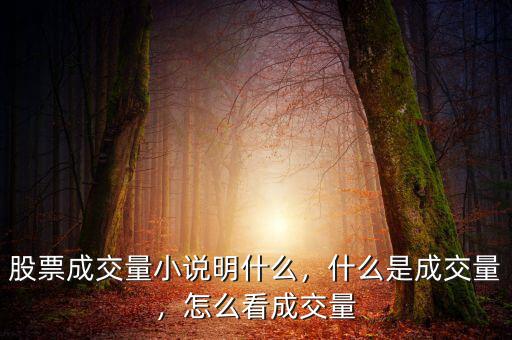 股票成交量小說明什么，什么是成交量，怎么看成交量