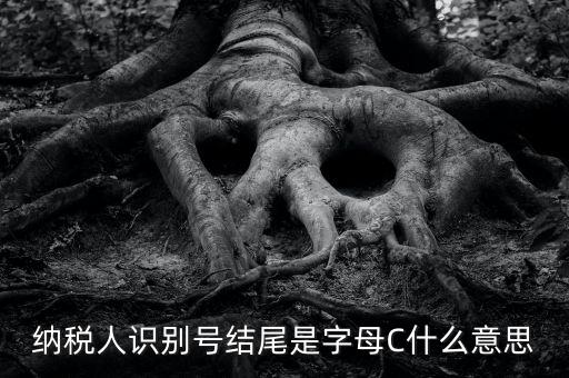 c級(jí)納稅人是什么意思，納稅人識(shí)別號(hào)結(jié)尾是字母C什么意思