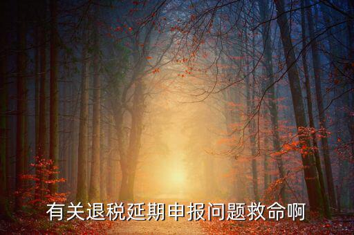 辦理退稅延期需要什么材料，公司出口報(bào)關(guān)單馬上就過三個(gè)月了到稅務(wù)如何辦理退稅延長(zhǎng)期具