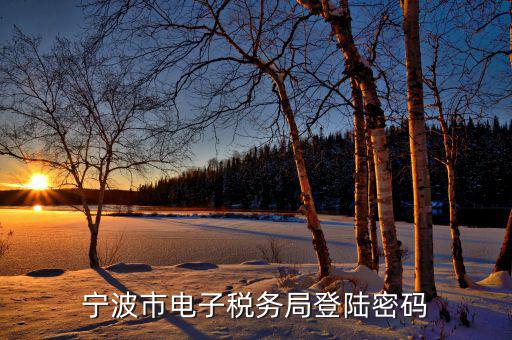 電子稅務(wù)默認(rèn)登錄密碼是什么，稅務(wù)局網(wǎng)站的登入賬戶初始密碼是什么