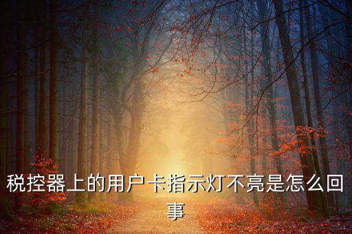 稅控機(jī)用戶(hù)卡是什么，稅控器上的用戶(hù)卡指示燈不亮是怎么回事