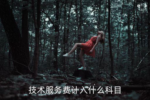 技術(shù)服務(wù)收入計(jì)入什么科目，收到技術(shù)服務(wù)費(fèi)計(jì)入什么科目