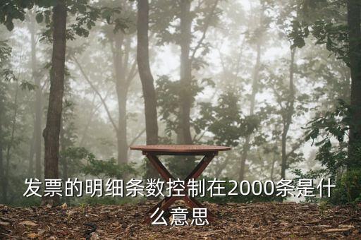 發(fā)票明細(xì)什么意思，發(fā)票的明細(xì)條數(shù)控制在2000條是什么意思