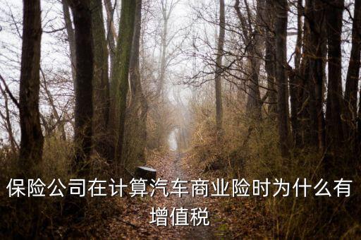 保險(xiǎn)公司在計(jì)算汽車(chē)商業(yè)險(xiǎn)時(shí)為什么有增值稅