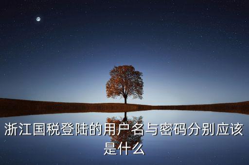 浙江省網(wǎng)上稅務(wù)局賬號(hào)是什么，電子稅務(wù)局賬號(hào)是什么號(hào)碼