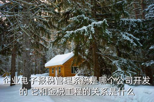 什么是網(wǎng)稅系統(tǒng)，企業(yè)電子報稅管理系統(tǒng)是哪個公司開發(fā)的 它和金稅工程的關(guān)系是什么