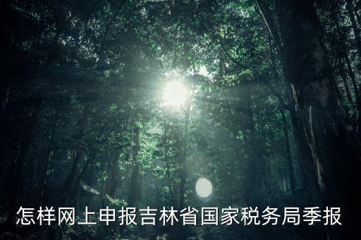 吉林省用什么報稅系統(tǒng)，吉林省的報稅系統(tǒng)如何使用