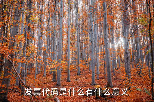 票據(jù)代碼是什么意思，中國航空票證結(jié)算代碼是什么意思