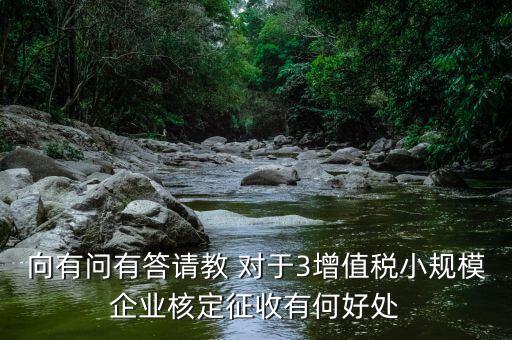 核定征收有什么好處，向有問有答請教 對于3增值稅小規(guī)模企業(yè)核定征收有何好處