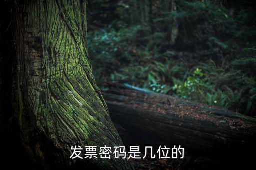 普通發(fā)票密碼是什么，國稅局發(fā)票軟件里用戶代碼和密碼是什么