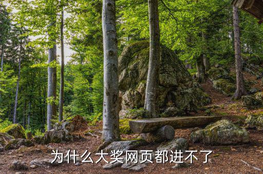 航天金穗網(wǎng)為什么進(jìn)不去網(wǎng)頁，WW3ZHONGCN這個(gè)網(wǎng)站怎么進(jìn)不去了呢