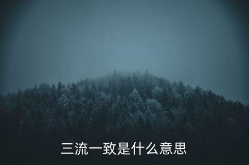 發(fā)票 流向一致是什么意思，發(fā)票四流一致是哪四流