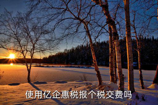 深圳億企惠稅報什么稅，稅友億企惠稅是用來申報地稅還是國稅