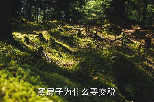 為什么 家庭納稅，納稅對(duì)家庭有什么影響