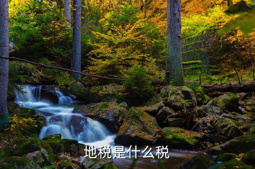 地稅專項(xiàng)收入是什么稅，地稅是什么稅