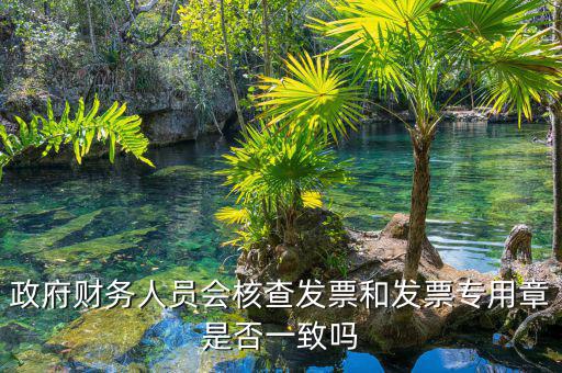 什么情況會核查發(fā)票，就是稅務(wù)局導(dǎo)出數(shù)據(jù)的時(shí)候會不會核對一下發(fā)票的因?yàn)槲也淮_定自