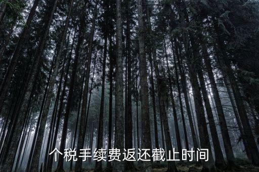 個(gè)稅手續(xù)費(fèi)返還什么時(shí)候還，個(gè)稅手續(xù)費(fèi)返還時(shí)間