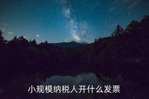 成都小規(guī)模應(yīng)開(kāi)什么發(fā)票，小規(guī)模納稅人開(kāi)什么發(fā)票