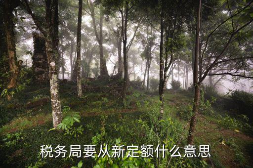 變更納稅定額是什么意思，調(diào)整應(yīng)納稅所得額什么意思