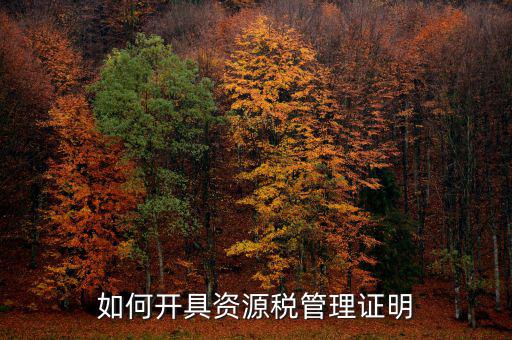 資源稅乙種證明要什么資料，混凝土公司購買砂石需要開具資源稅乙種證明嗎