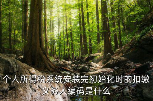 扣繳人義務編碼是什么，扣繳義務人編碼是什么啊