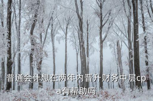 普通會計想在兩年內(nèi)晉升財務中層cpa有幫助嗎