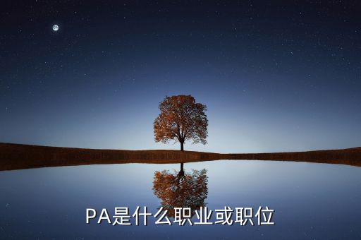 河南省國(guó)稅局陳紅偉什么職務(wù)，PA是什么職業(yè)或職位