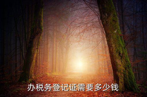 稅務局登記需要什么手續(xù)費，辦稅務登記證需要多少錢