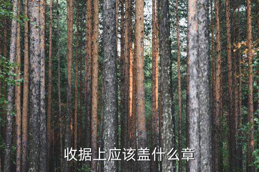收據(jù)應(yīng)蓋什么章，收據(jù)蓋什么章有規(guī)定嗎
