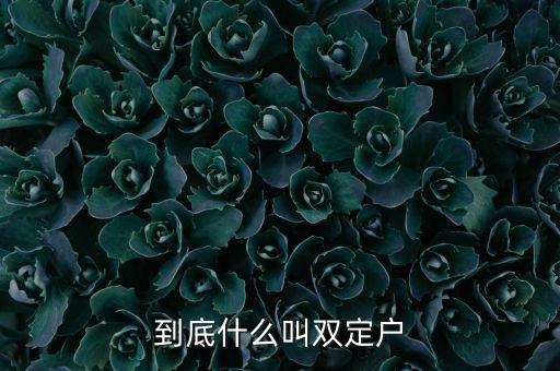 什么是雙定戶，雙翅一一翻雙眉什么雙眼什么
