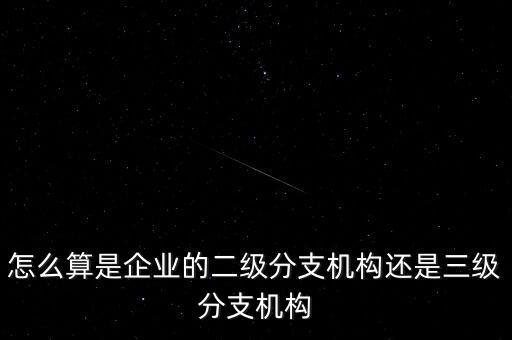 什么叫企業(yè)二級(jí)分支機(jī)構(gòu)，現(xiàn)在分公司要辦稅務(wù)登記證但是我想問一下二級(jí)分機(jī)構(gòu)指的是