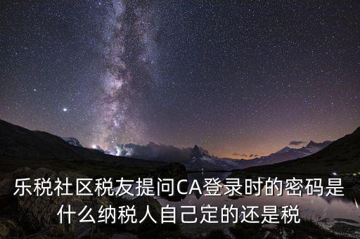 納稅人登路的密碼是什么意思，國稅第一次網(wǎng)上申報的登陸密碼是什么