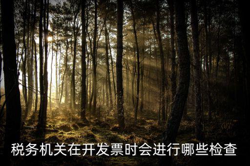 國稅專業(yè)發(fā)票核查是什么，國稅發(fā)短信讓帶公章去稅務(wù)局核查發(fā)票是什么意思急急急