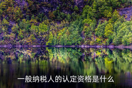 一般納稅人資格證書是什么，一般納稅人的認(rèn)定資格是什么
