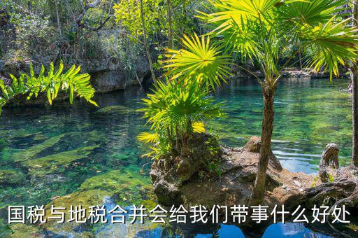國稅地稅合作有什么意見，國稅地稅合并有何重要意義