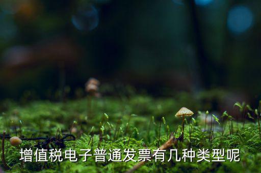 普通發(fā)票有什么種類，發(fā)票分幾種