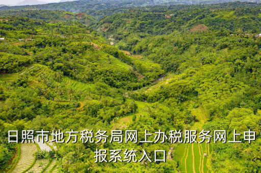 日照報稅的網(wǎng)址是什么意思，網(wǎng)上報稅在哪個網(wǎng)站