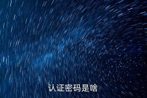 網(wǎng)上認證的密碼是什么意思啊，市民身份證手機認證服務密碼是什么意思在線等急