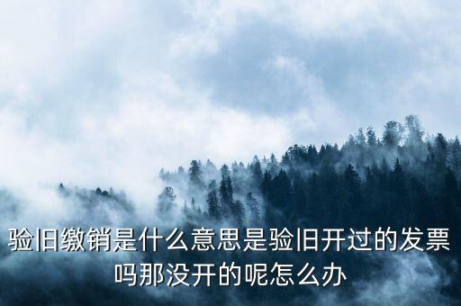 發(fā)票驗舊繳銷是什么意思，發(fā)票驗舊是什么意思