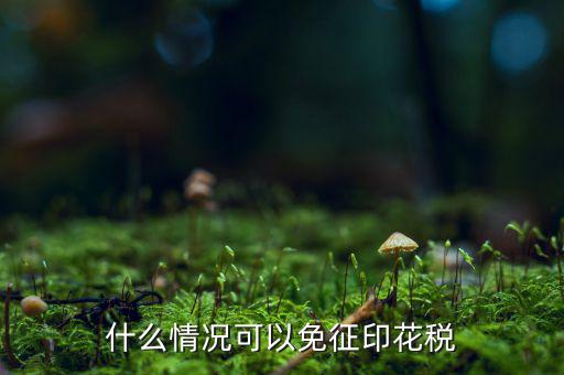 印花稅免稅是什么政策規(guī)定，什么情況可以免征印花稅